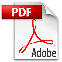 Adobe Reader